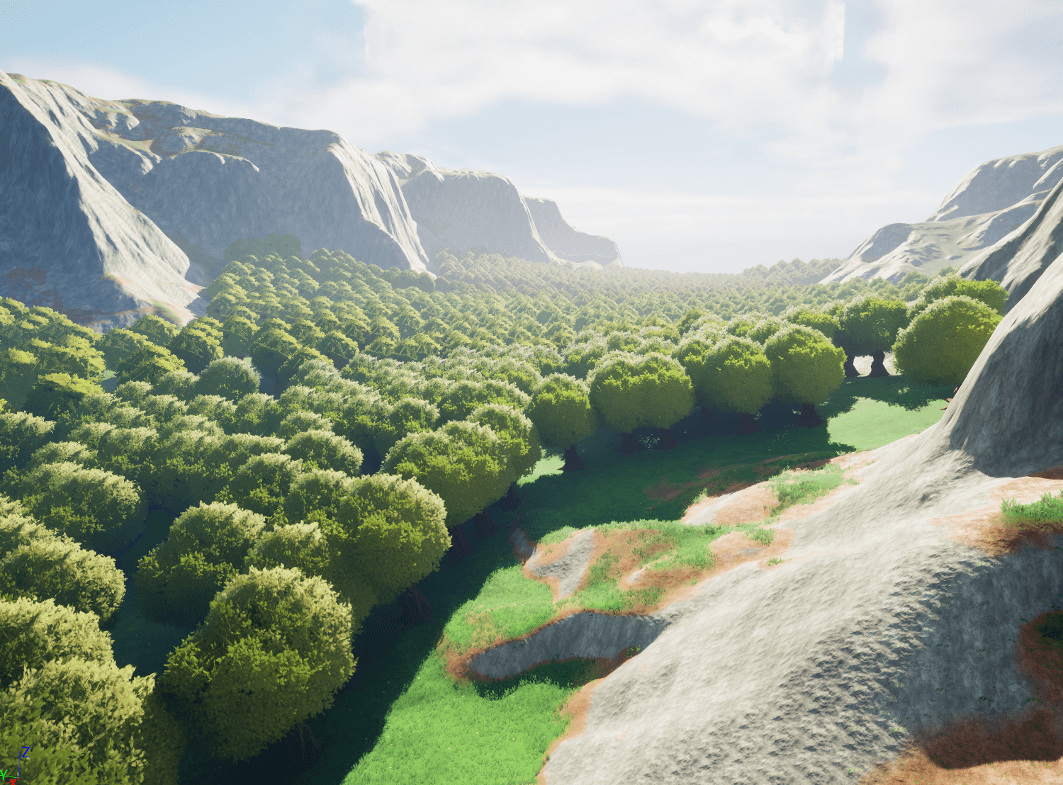 Nice forest, but too dense